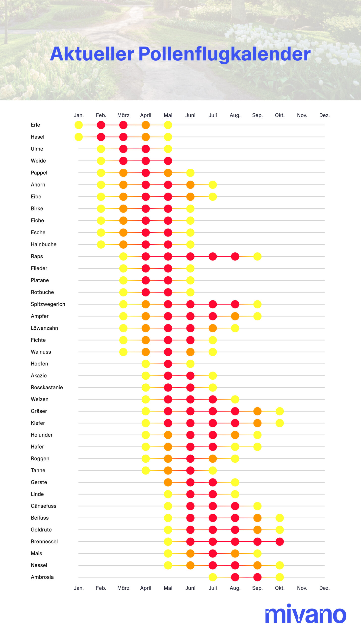 Der Allergiekalender zeigt die Blütezeit für Pollen von Birke, Wegerich, Eibe, Eiche, Ulme, Pappel, Gräsern und mehr.