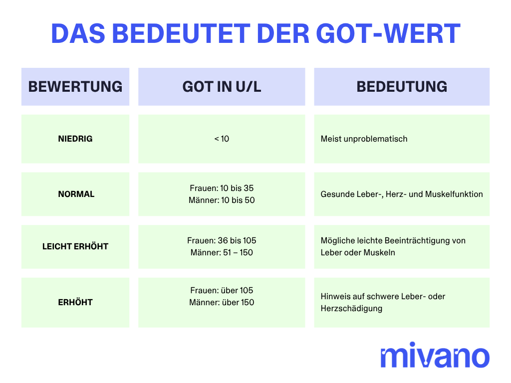 Tabellen-Übersicht und Bedeutung der GOT-Blutwerte für Frauen und Männer.