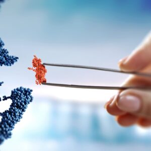 Genmutation einfach erklärt: So entstehen Veränderungen im Erbgut