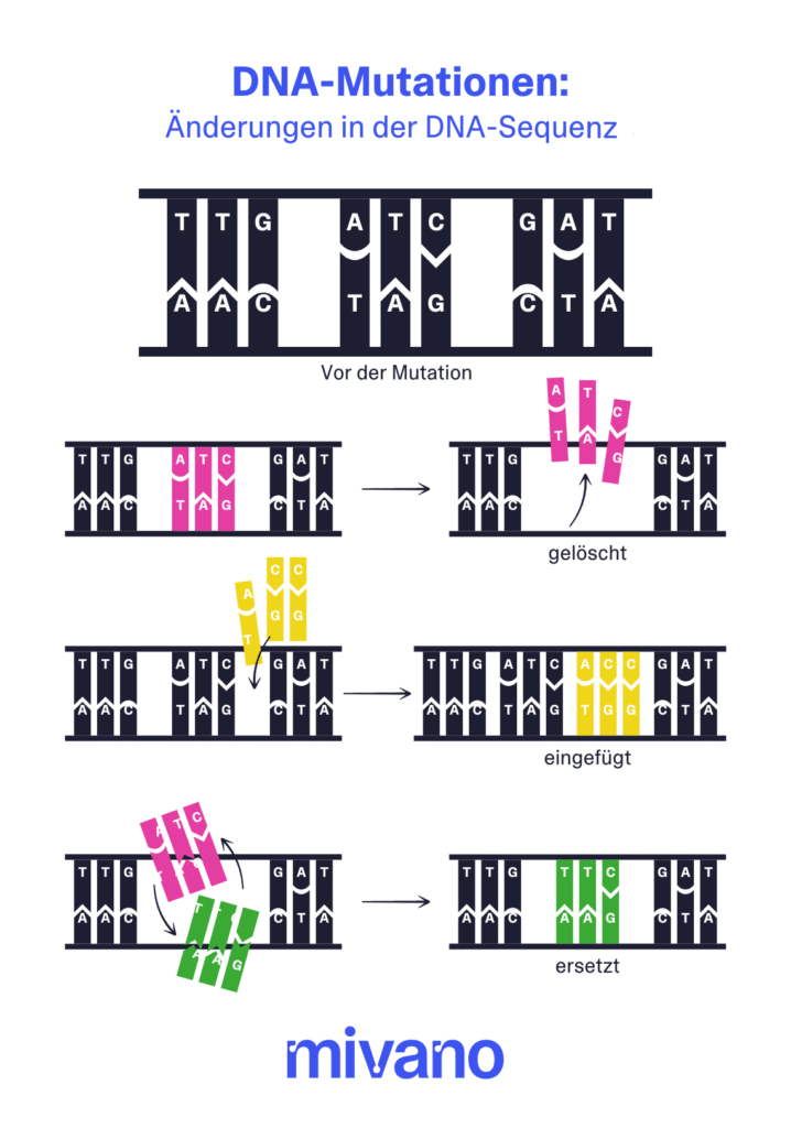 Infografik, die Insertion, Deletion und Ersetzung auf der DNA-Sequenz als Mutationen veranschaulicht.