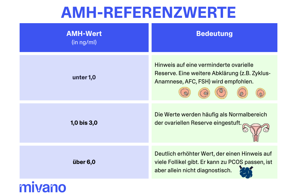 Überblick über die AMH-Referenzwerte für die Fruchtbarkeit in der Tabelle.