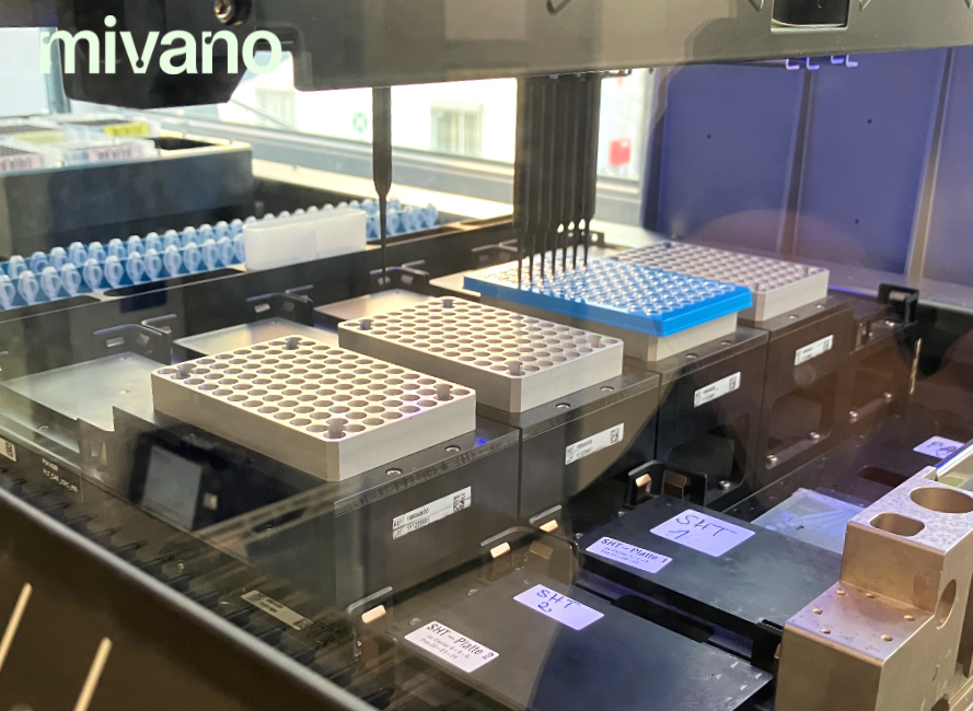 Die DNA im Labor isoliert und für die Genanalyse vorbereitet.