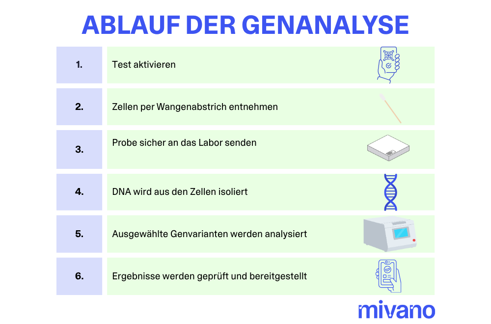 6 Schritte des DNA-Test-Ablaufs im Überblick.